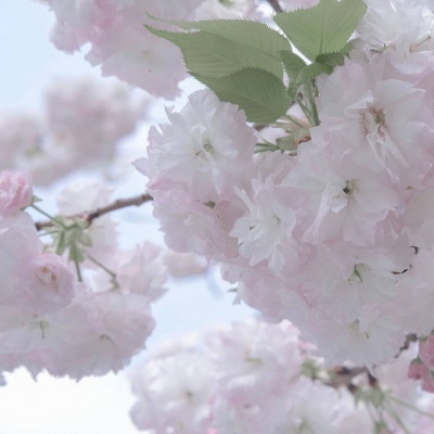 Furry兽设创作灵感兽圈群